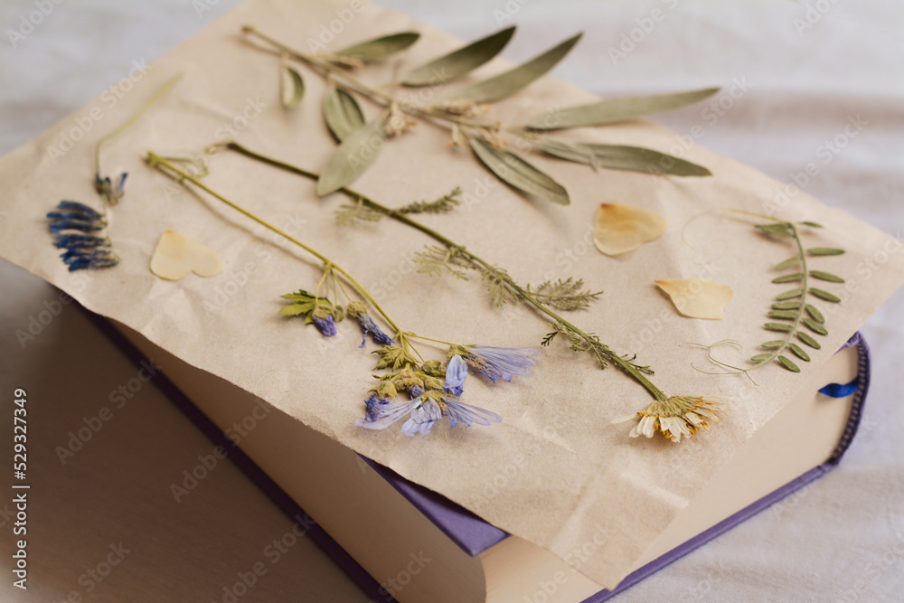 Sheet of paper with dried flowers and leaves on white fabric, closeup Sheet of paper with dried flowers and leaves on white fabric, closeup