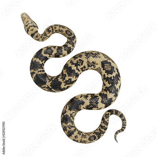 3d illustration of Scrub python.
