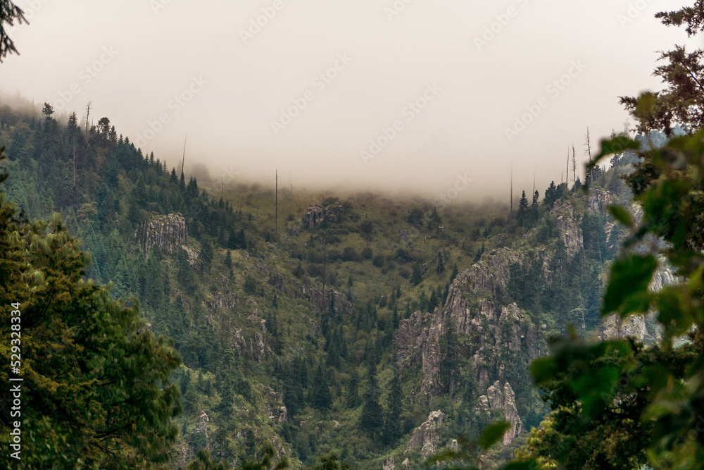 neblina en montaña