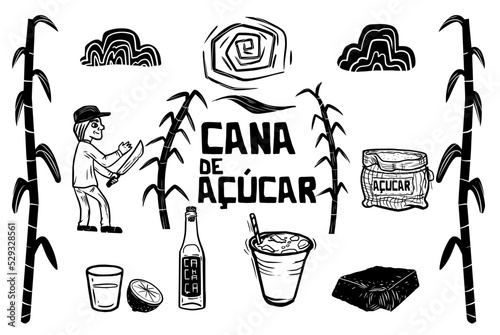 Sugarcane (cana de açúcar) related icons set. illustration in woodcut style and cordel literature