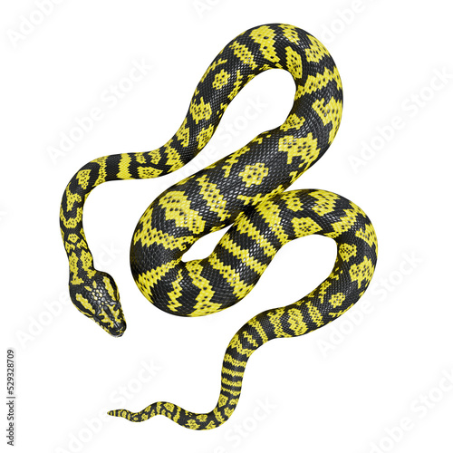 3D illustration of Zebra jungle carpet python. © DibiaDigital