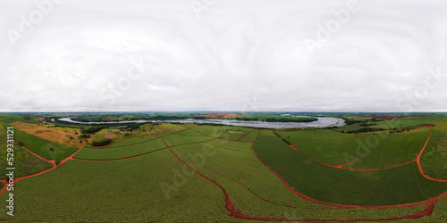 Sugarcane plantation near the Tiete River