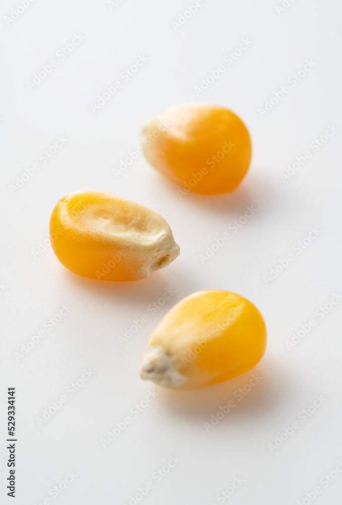 Dried corn kernels placed on white background. Dried corn kernels placed on white background.