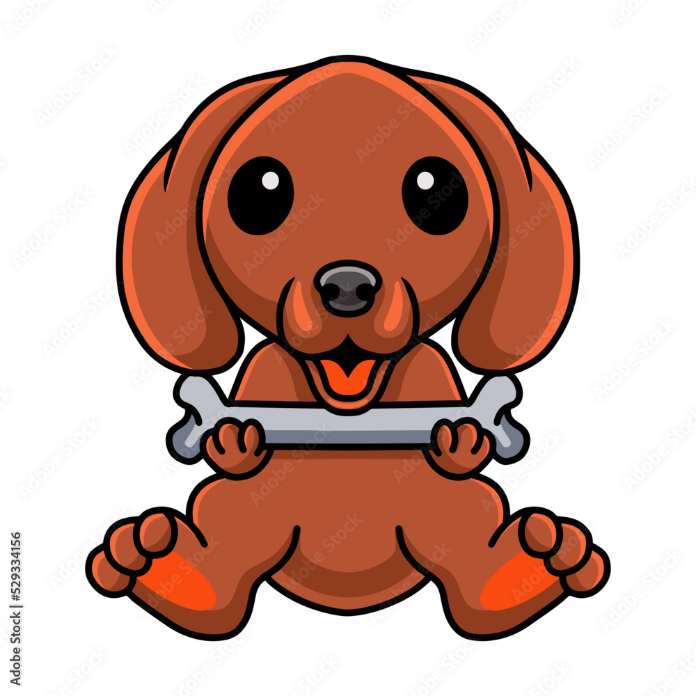 Cute dachshund dog cartoon holding a bone