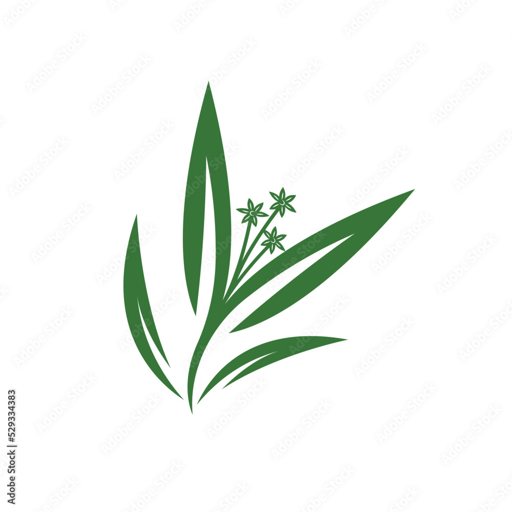 eucalyptus leaf vector element design template eucalyptus leaf vector element design template