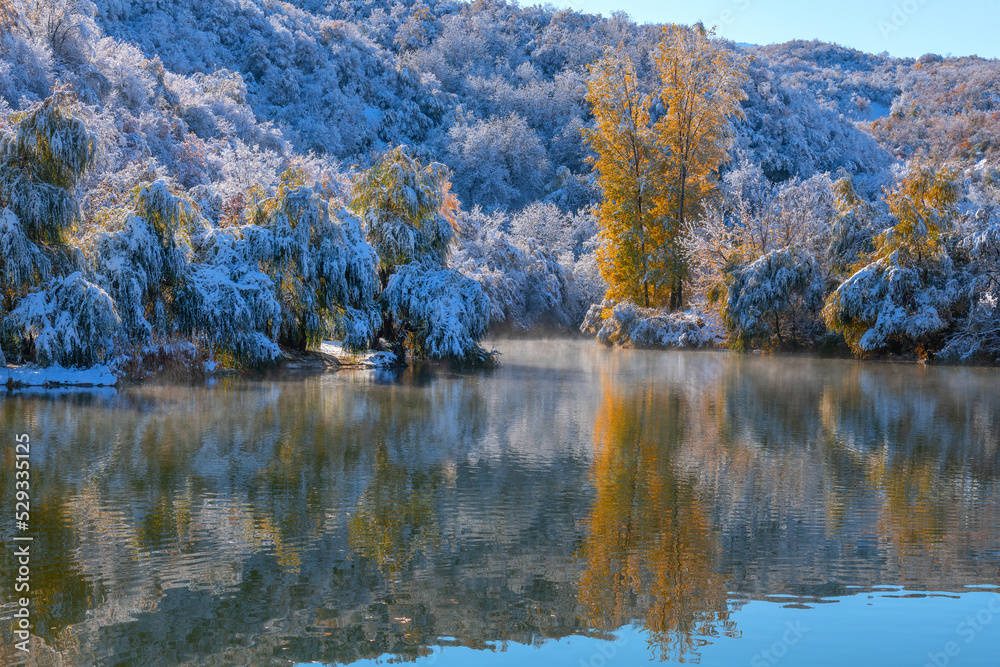 Snow-covered trees with autumn foliage on the shore of a mountain lake