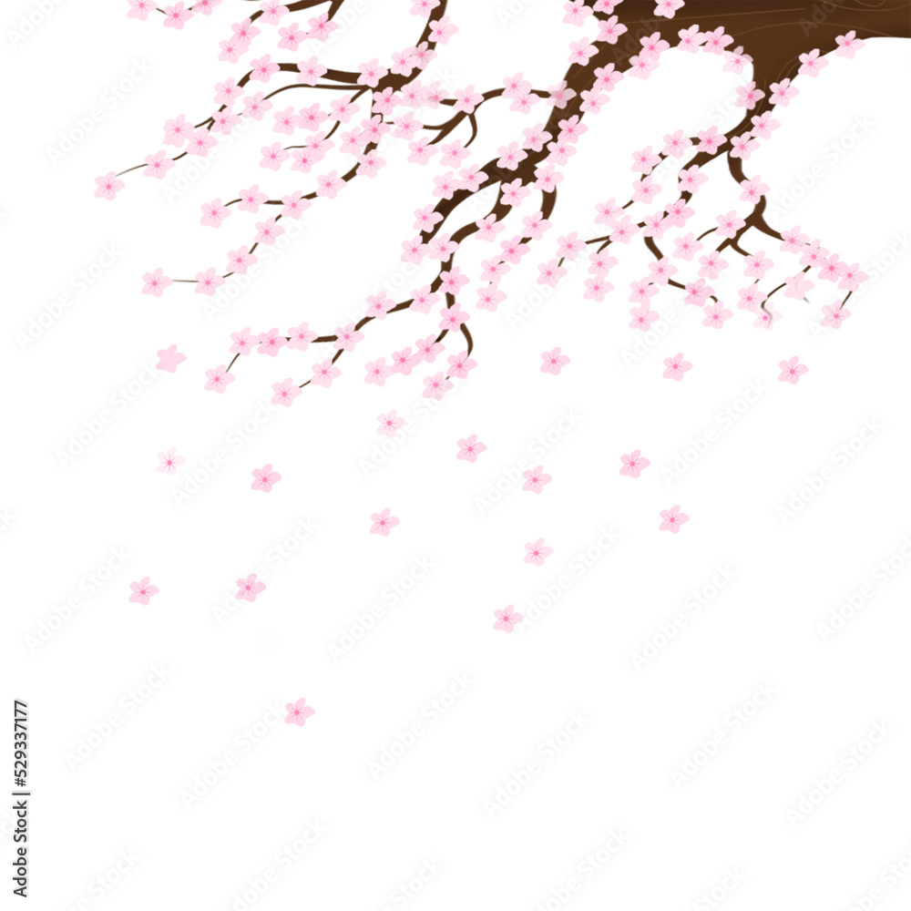 sakura flower illustration sakura flower illustration