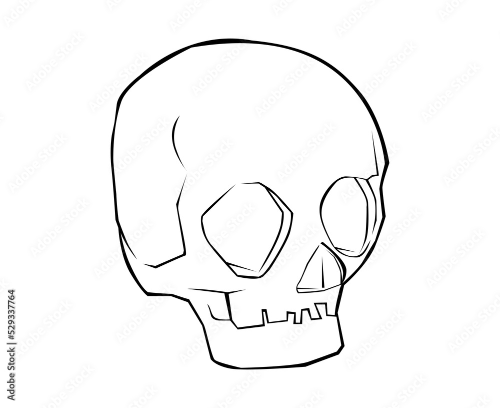 skull lineart