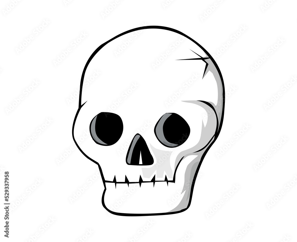 skull skull
