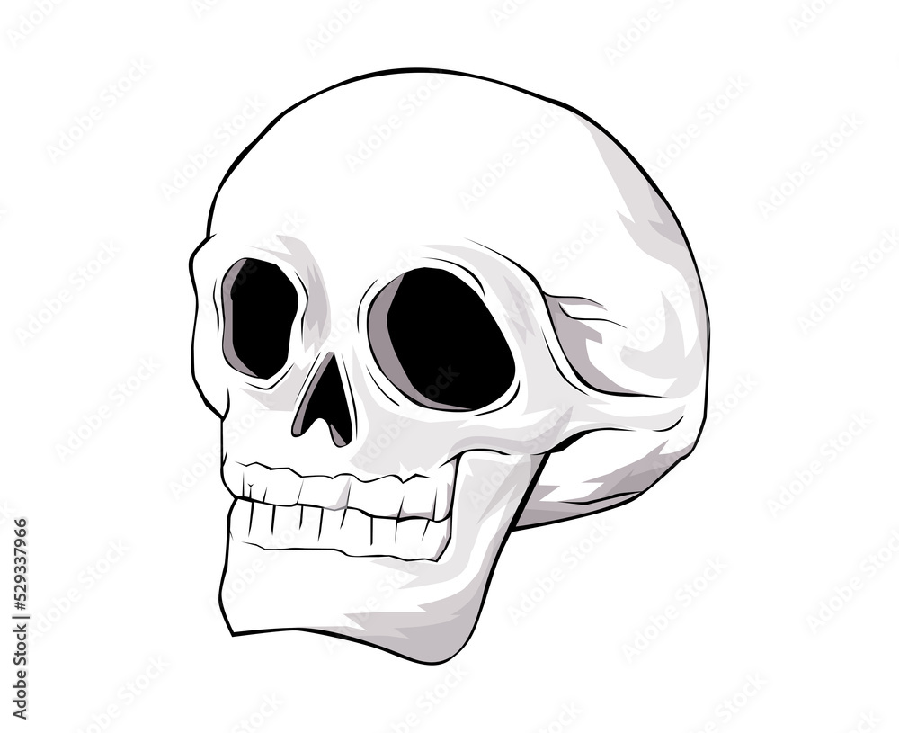 Fototapeta premium skull