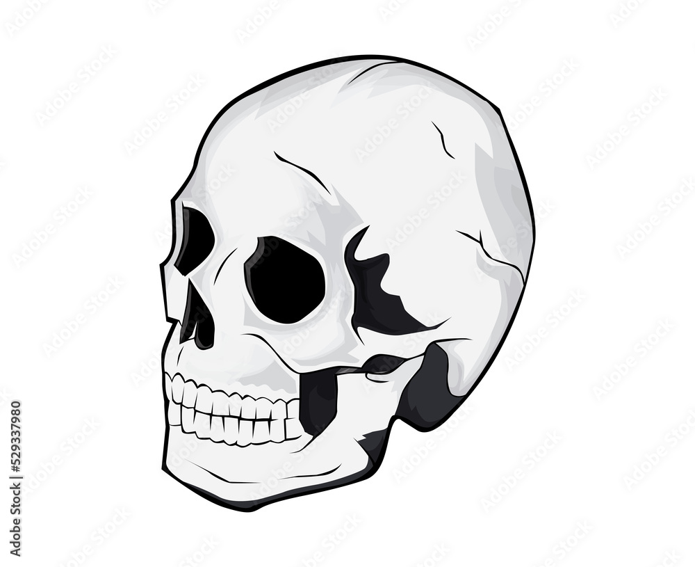 skull