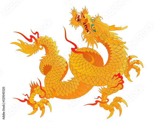 Oriental dragon color illustration Chinese Japanese Korean style transparent backgroundgolden yellow and dragon looking up © pil