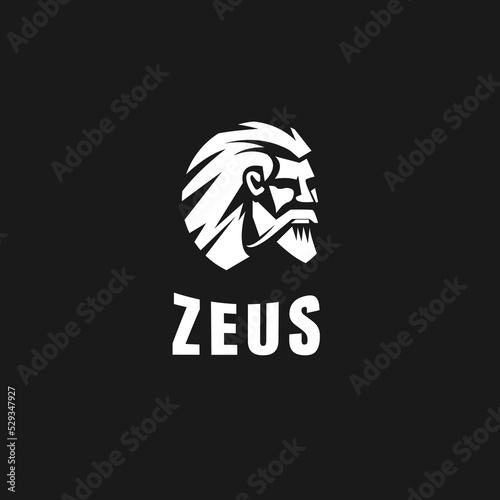 Zeus Logo Vector Design, Icon