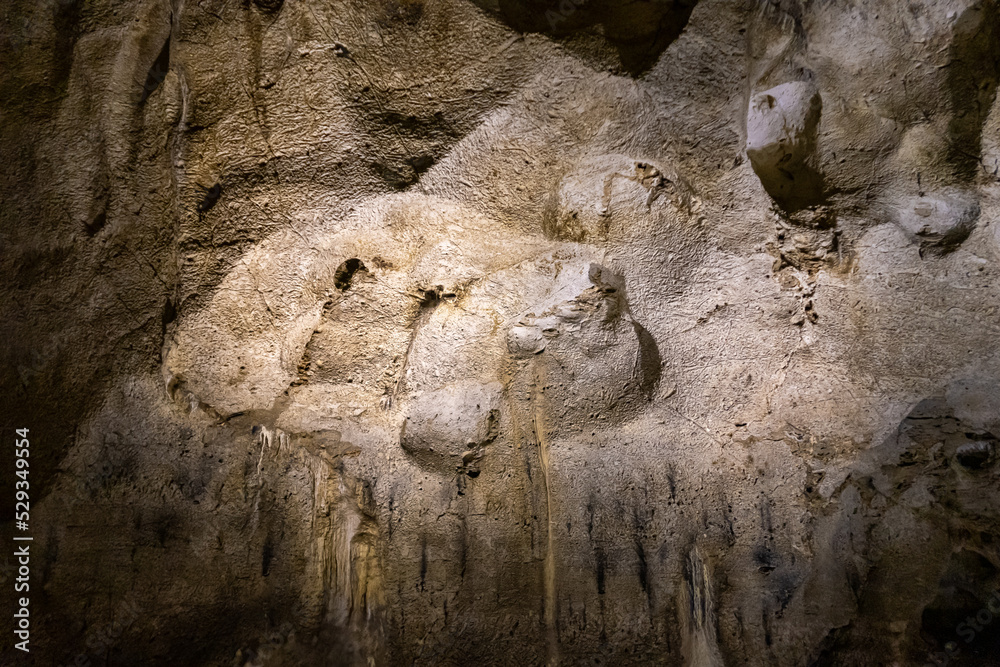 Obraz premium A cave with stalagmites and stalactites in which a caveman lived in a national reserve - Nahal Mearot Nature Preserve, near Haifa, in northern Israel