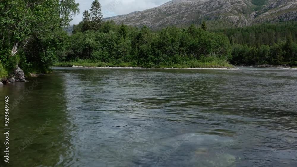 Flying Over The River Flowing Through The Forest With Evergreen Trees At Summer. - aerial Flying Over The River Flowing Through The Forest With Evergreen Trees At Summer. - aerial