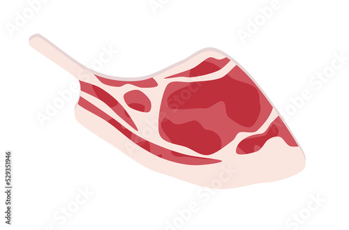 Fresh organic raw meat vector, fresh meat vector, organic food vector on white background, food top view vector, raw beef on white background, raw meat top view, flat design of raw beef steak.