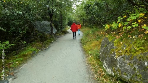 POV-Walking following two women in brightly colored rain coats along a foot path through Alaska rain forest on a drizzly rainy day
