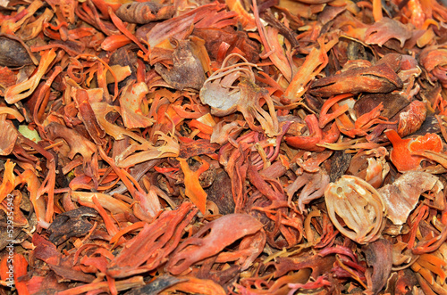 Mace spices, nutmeg flowers. Mace spice background, many flower of javitri, top view. indian spices in market photo