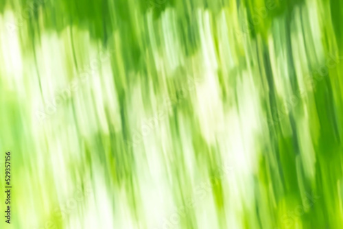 Abstract blur light gradient green and white soft pastel color wallpaper background.