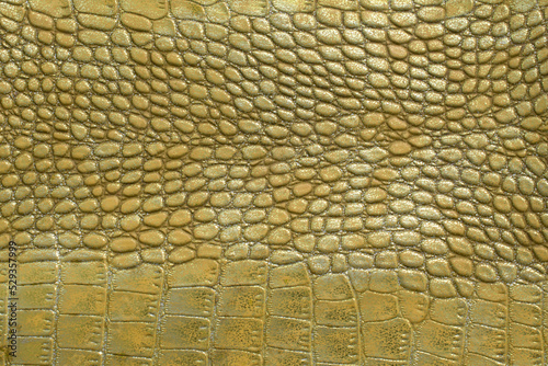 Crocodile bone skin texture background. Green Leather background and texture.