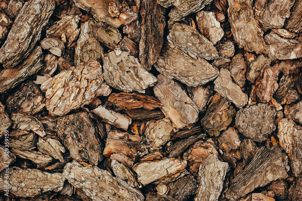 Texture from pieces of tree bark. Background, template for design. Texture from pieces of tree bark. Background, template for design.