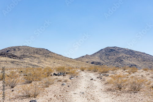 Nevada Terrain