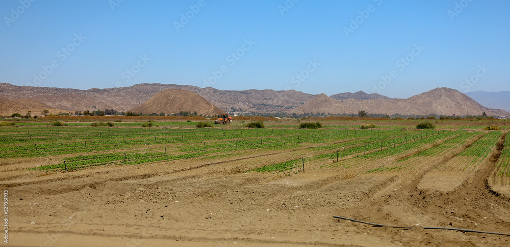 View of a cultivated field on the countryside.