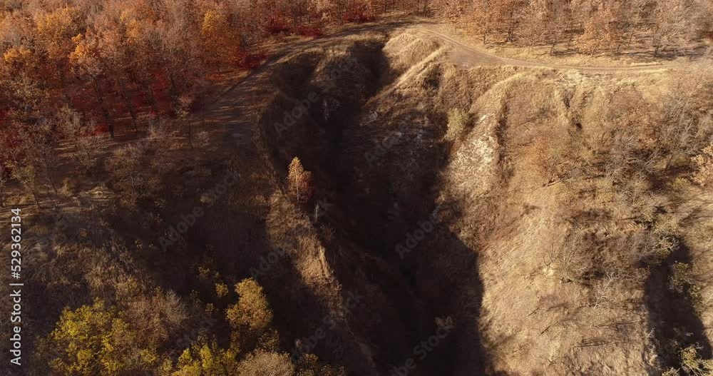 Travel wanderlust. Mountain road. Hiking destinations. Aerial shot of brown canopy of trees from above Travel wanderlust. Mountain road. Hiking destinations. Aerial shot of brown canopy of trees from above