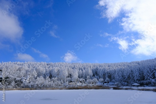 聖高原中牧湖の雪景色
