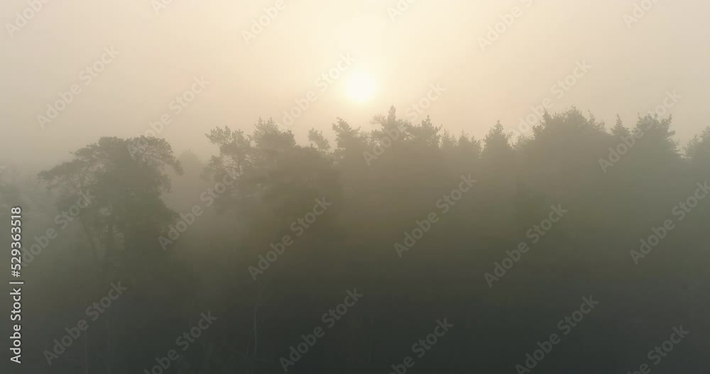 Misty morning sunrise. Nature beauty. Aerial shot of dawn light above forest. Misty morning sunrise. Nature beauty. Aerial shot of dawn light above forest.