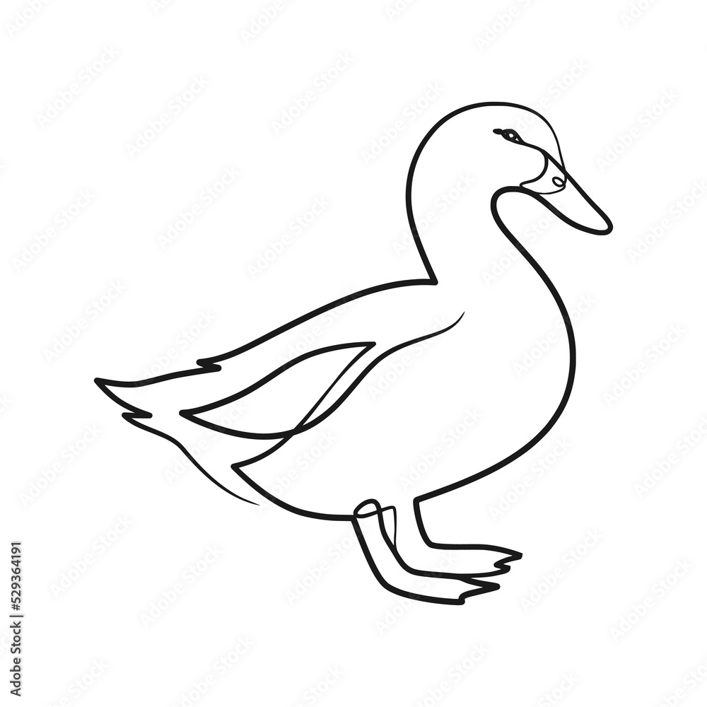 Duck continuous line art drawing Duck continuous line art drawing