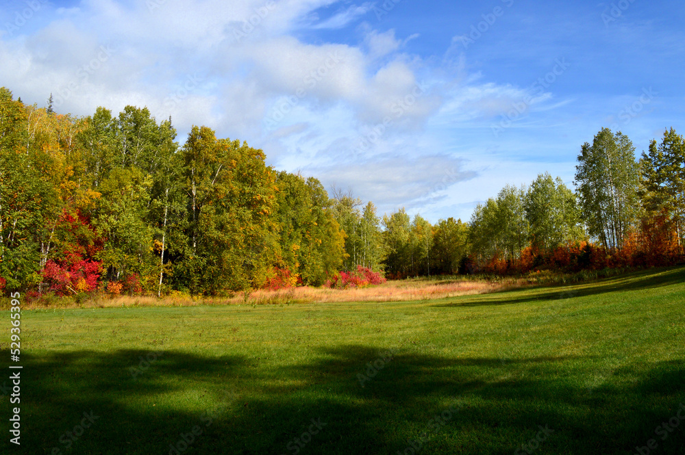 Autumn landscape with trees and blue sky with clouds Autumn landscape with trees and blue sky with clouds