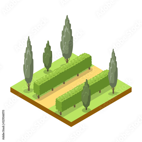 Park alley with trees isometric 3D icon. Public park decorative plant and green grass vector illustration. Nature map element for summer parkland landscape design.
