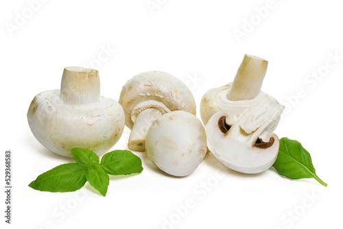 Isolated fresh edible champignon mushrooms with basil leaves. PNG file with transparent background.