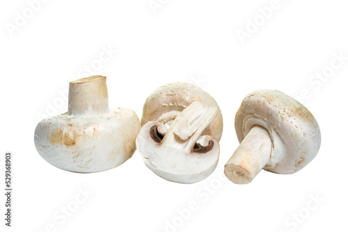 Isolated fresh edible champignon mushrooms. PNG file with transparent background.