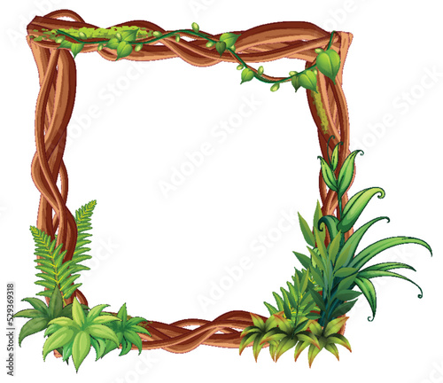Frame of liana branches and leaves