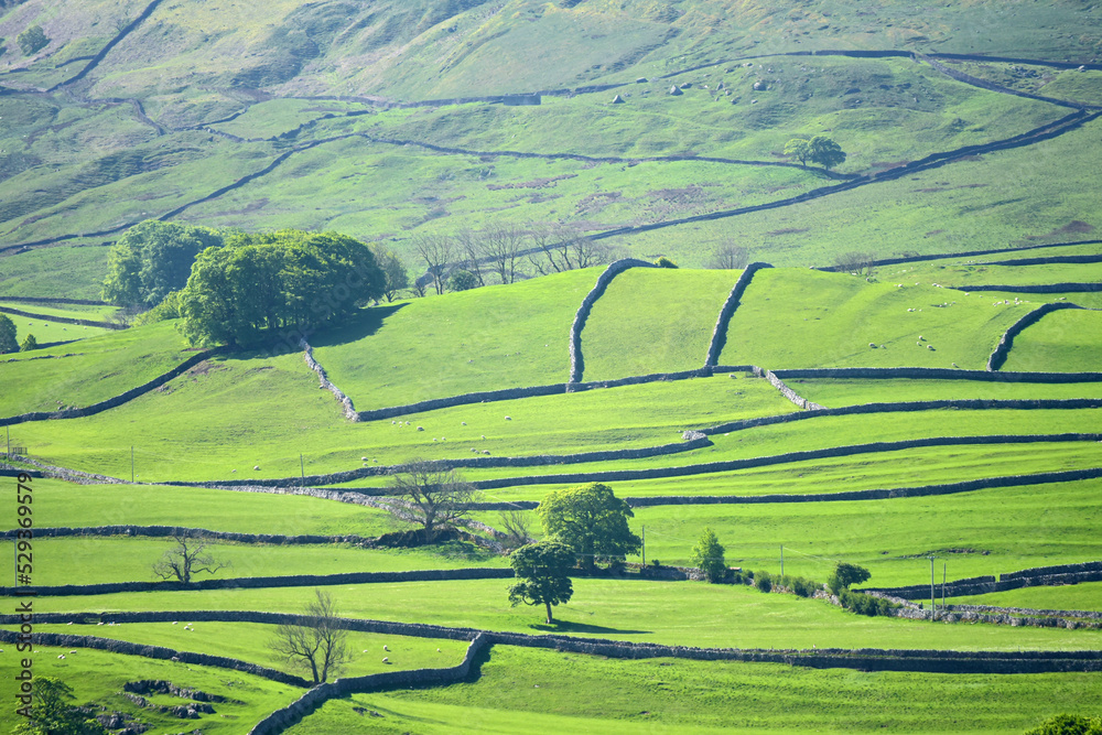 Scenery in Wharfedale near Grassington, Yorkshire Dales