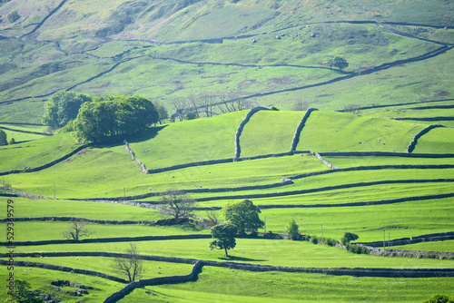 Obraz na płótnie Scenery in Wharfedale near Grassington, Yorkshire Dales w salonie
