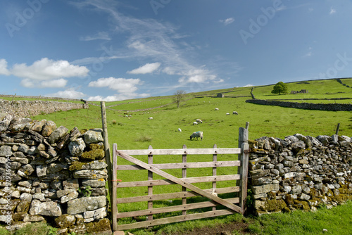 Scenery in Wharfedale near Grassington, Yorkshire Dales © davidyoung11111
