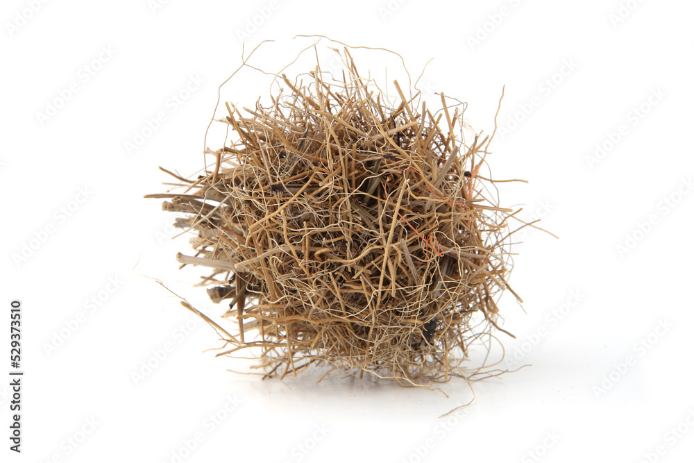 Grass ball washed up on the beach  isolated on white background. Ball of dried plants and grasses.