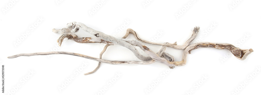 Fototapeta premium Sea driftwood branches isolated on white background. Bleached dry aged drift wood.