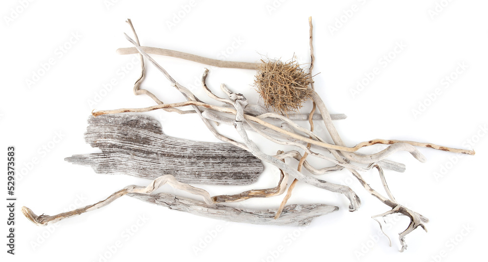 Fototapeta premium Sea driftwood branches and ball of grasses isolated on white background. Dry drift wood washed on beach.