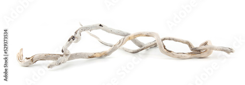Sea driftwood branches isolated on white background. Bleached dry aged drift wood.