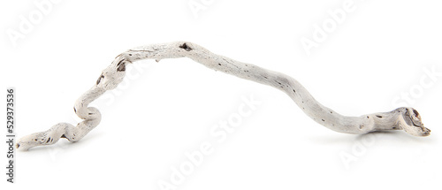  Sea driftwood branch isolated on white background. Bleached dry aged drift wood.