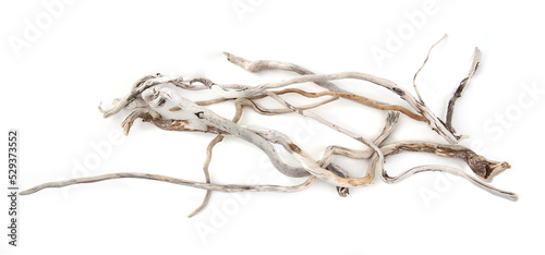 Sea driftwood branches isolated on white background. Bleached dry aged drift wood.