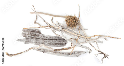Sea driftwood branches and ball of grasses isolated on white background. Dry drift wood washed on beach.