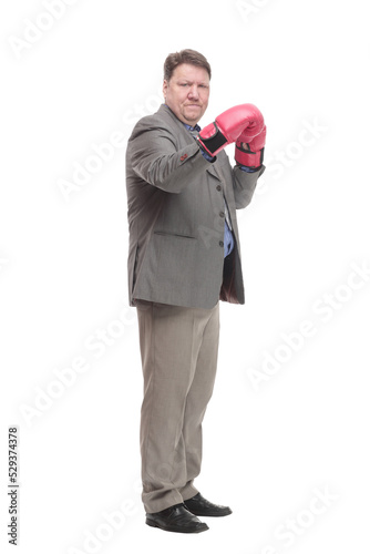 in full growth. serious business man in Boxing gloves.