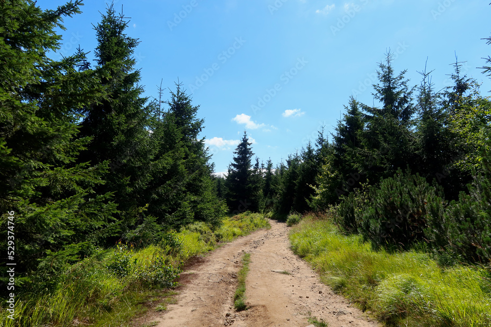 Silesian Beskids, mountain trail. The trail to Malinowska Rock (polish: Malinowa Skala) leads from the Salmopolska Pass through Malinow and Malinowska Cave.