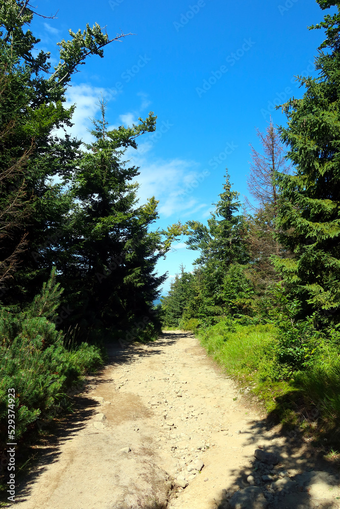 Silesian Beskids, mountain trail. The trail to Malinowska Rock (polish: Malinowa Skala) leads from the Salmopolska Pass through Malinow and Malinowska Cave. Silesian Beskids, mountain trail. The trail to Malinowska Rock (polish: Malinowa Skala) leads from the Salmopolska Pass through Malinow and Malinowska Cave.