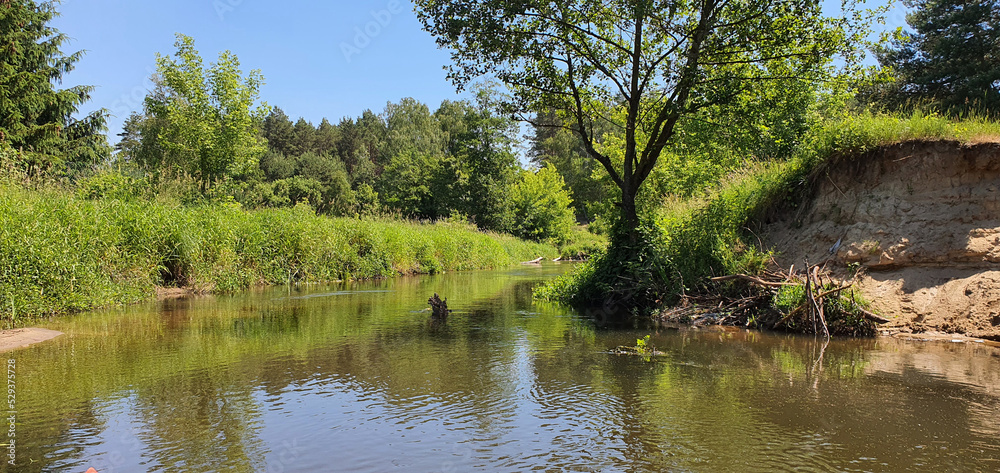 The banks of the Grabia river photographed during a kayaking trip on a sunny summer day.